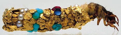 Larves Hubert Duprat