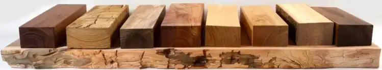 Sortes de bois - pin hêtre noyer chêne